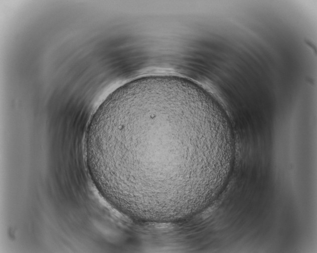 X0000100221382200806201457