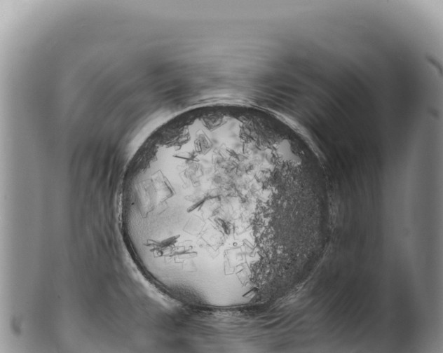 X0000100221383200806201457