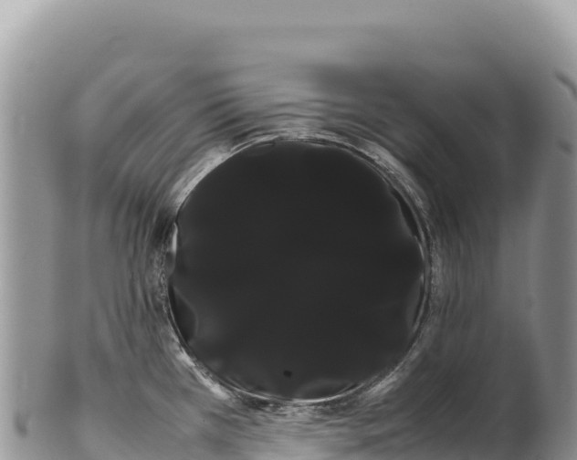 X0000100221385200806201457