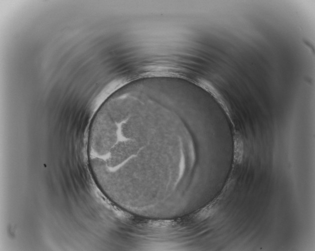 X0000100221386200806201457