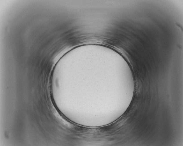 X0000100221387200806201457