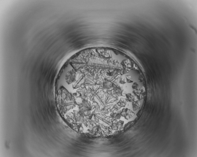 X0000100221388200806201457