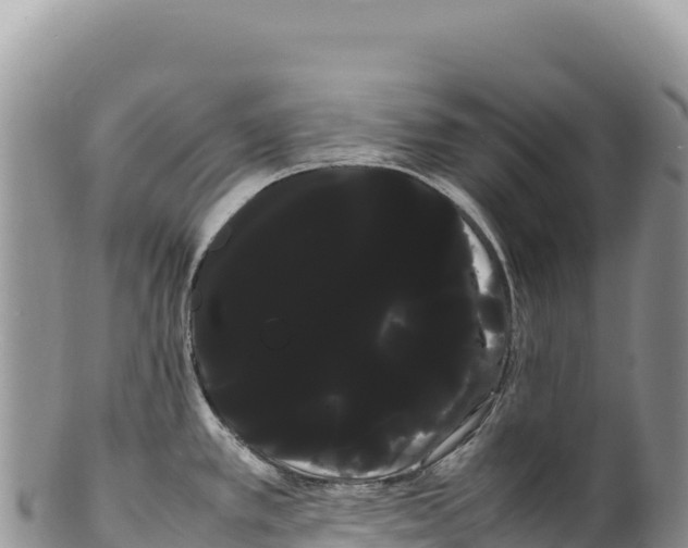 X0000100221389200806201457