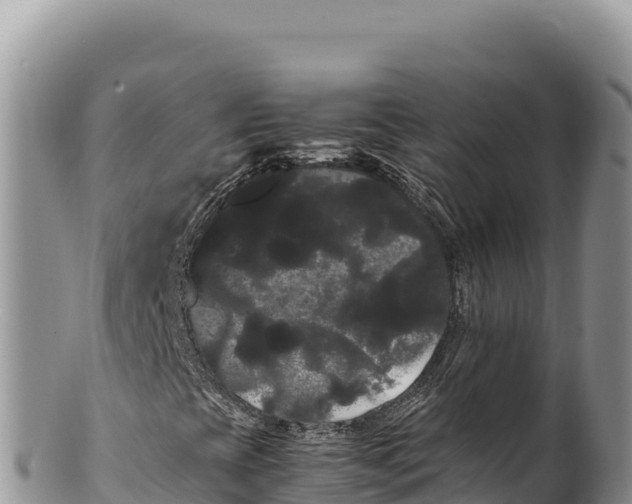 X0000100221393200806201457