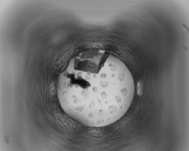 X0000100221395200806201457