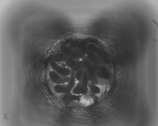 X0000100221397200806201457