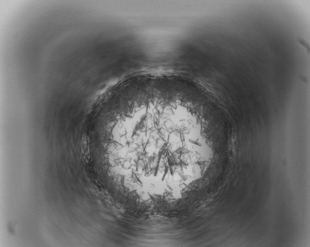 X0000100221398200806201457