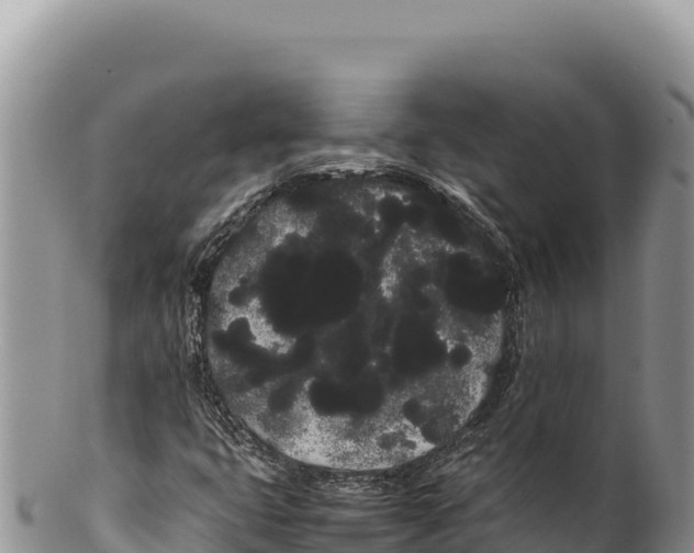 X0000100221399200806201457