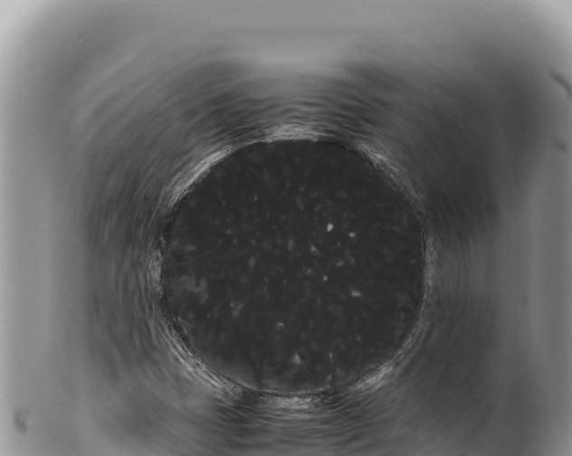 X0000100221401200806201457