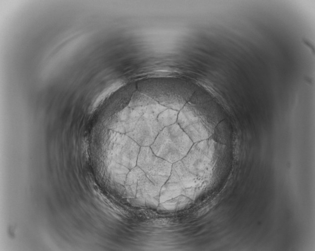 X0000100221402200806201457