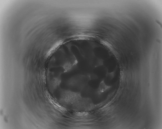 X0000100221403200806201457