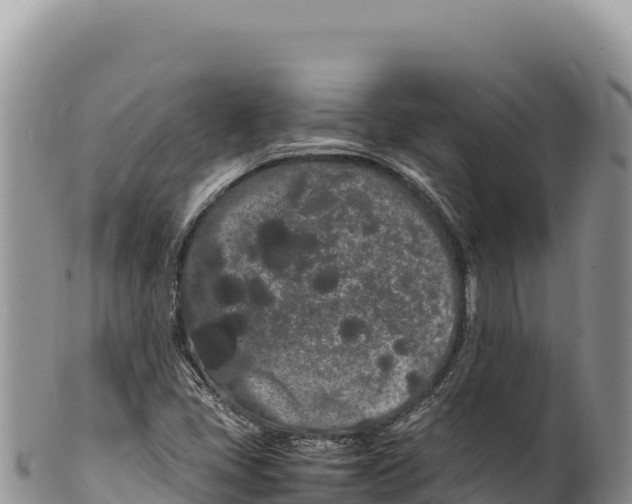 X0000100221405200806201457