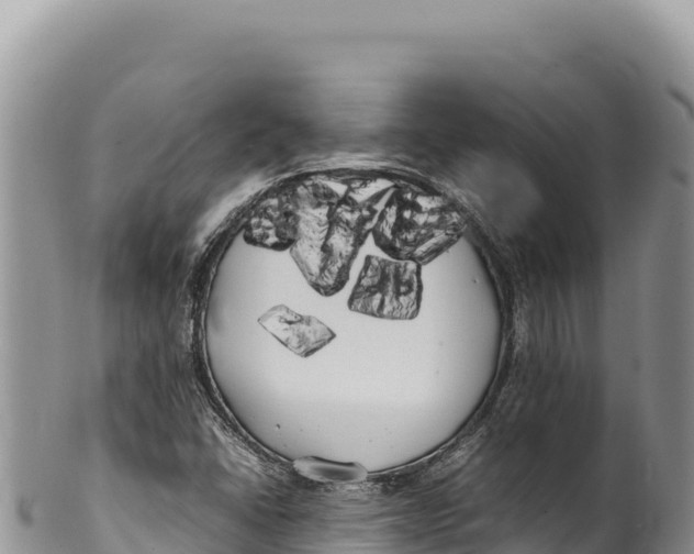 X0000100221406200806201457