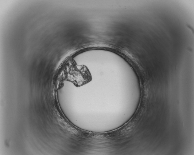 X0000100221408200806201457