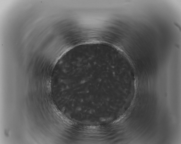 X0000100221409200806201457