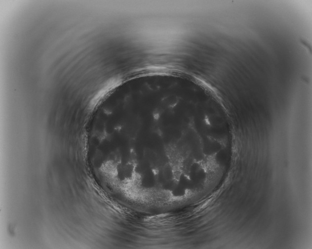 X0000100221411200806201457