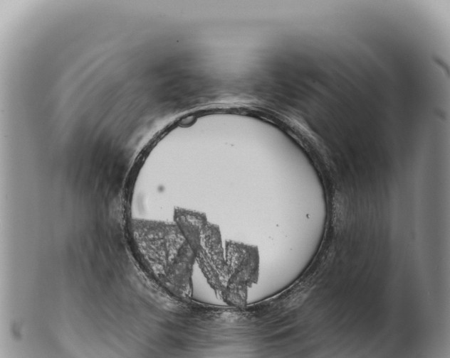 X0000100221412200806201457