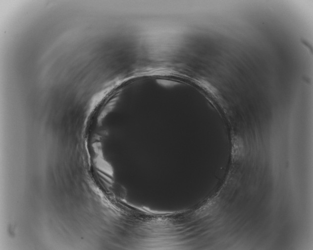 X0000100221414200806201457