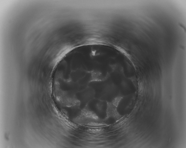 X0000100221415200806201457