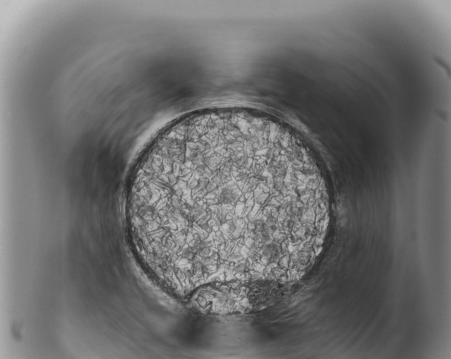 X0000100221416200806201457