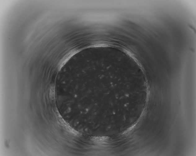 X0000100221417200806201457