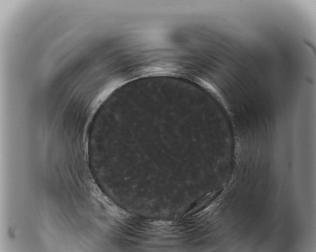 X0000100221419200806201457