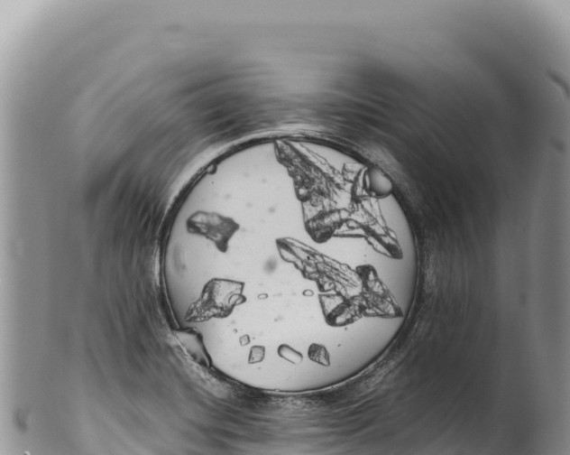 X0000100221420200806201457