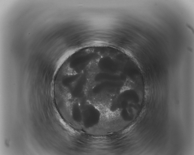 X0000100221421200806201457