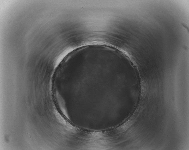 X0000100221422200806201457