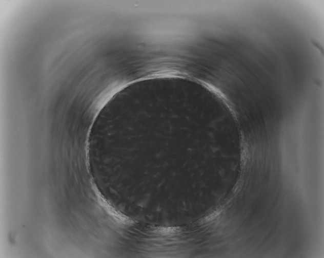 X0000100221423200806201457