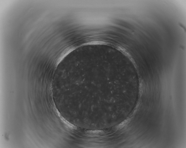 X0000100221425200806201457