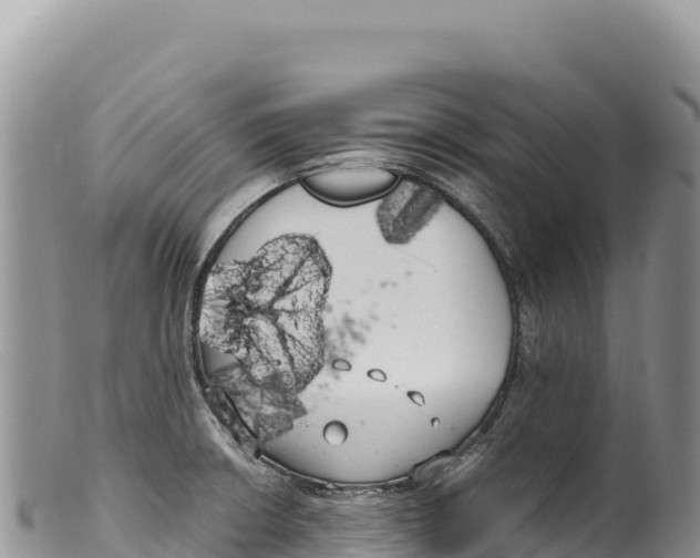 X0000100221426200806201457