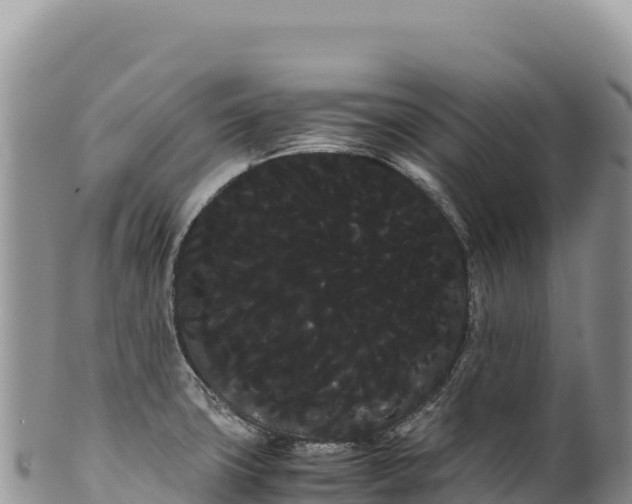 X0000100221427200806201457