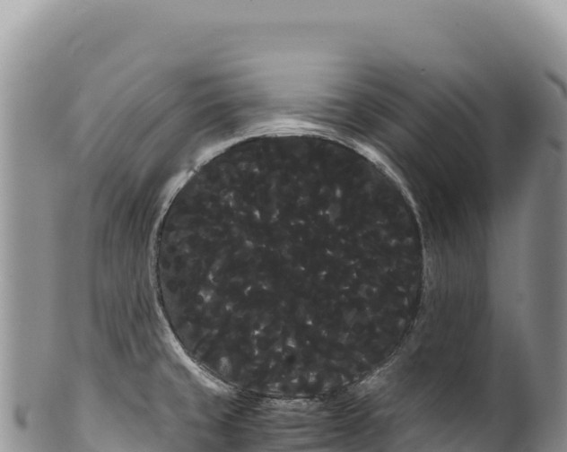 X0000100221429200806201457