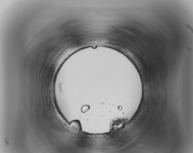 X0000100221432200806201457