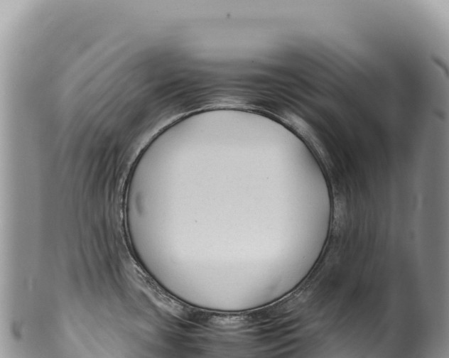 X0000100221435200806201457