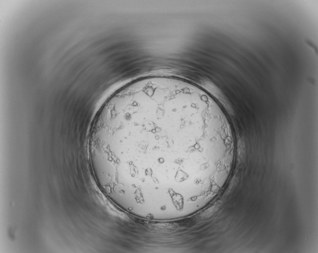 X0000100221436200806201457