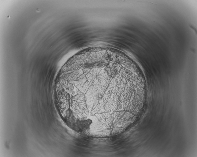 X0000100221437200806201457