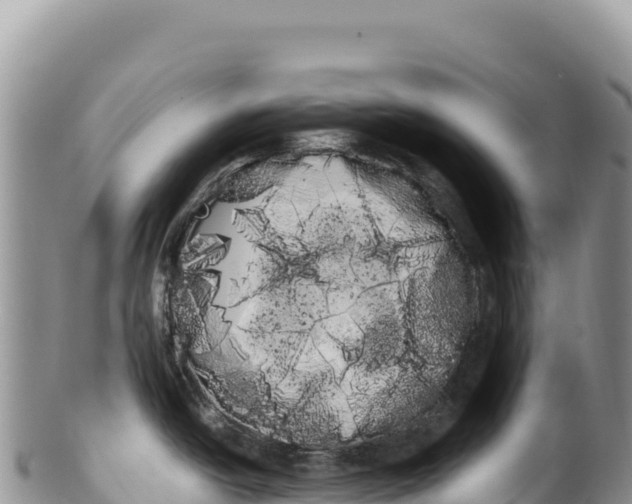 X0000100221438200806201457