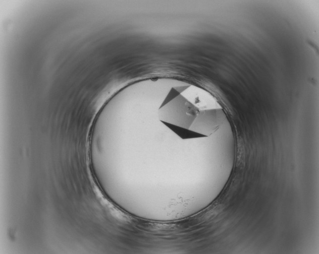 X0000100221439200806201457