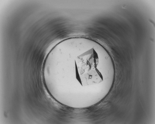 X0000100221440200806201457