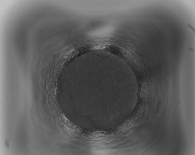 X0000100221441200806201457