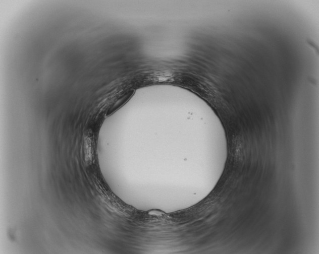 X0000100221442200806201457