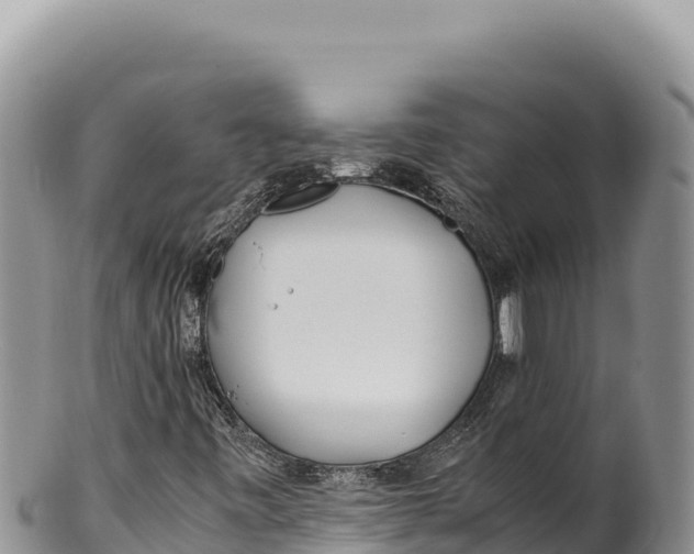 X0000100221443200806201457