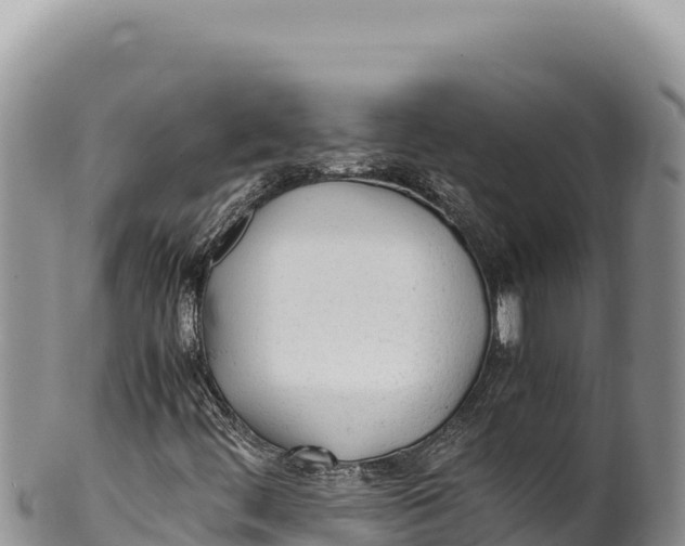 X0000100221444200806201457