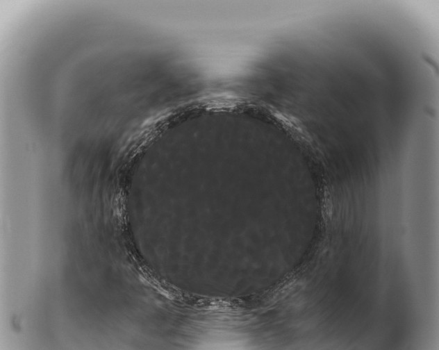 X0000100221445200806201457