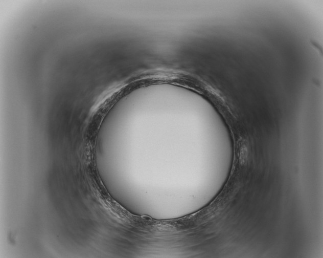 X0000100221448200806201457