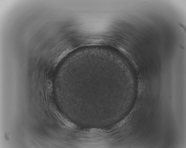 X0000100221449200806201457