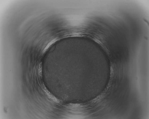 X0000100221450200806201457