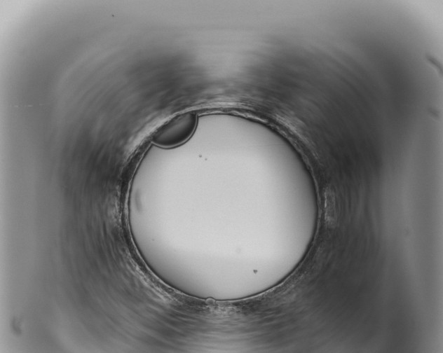 X0000100221452200806201456